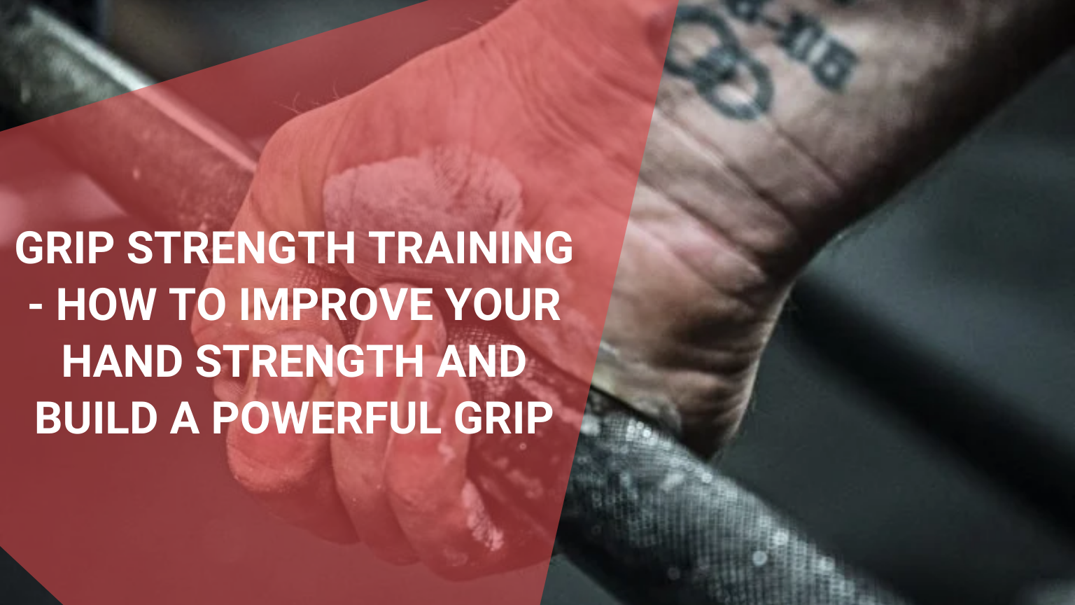 Grip Strength Training – How to Improve Your Hand Strength and Build a Powerful Grip, October 2021